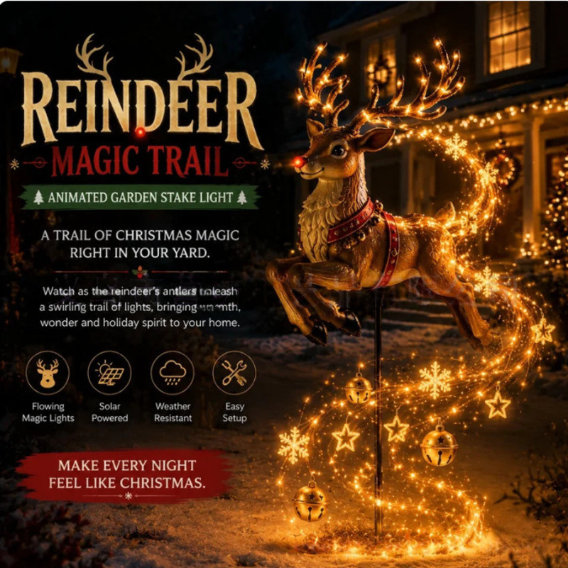 Solar LED Christmas Santa Slei - огляд і ціна Outdoor Lighting Pathway